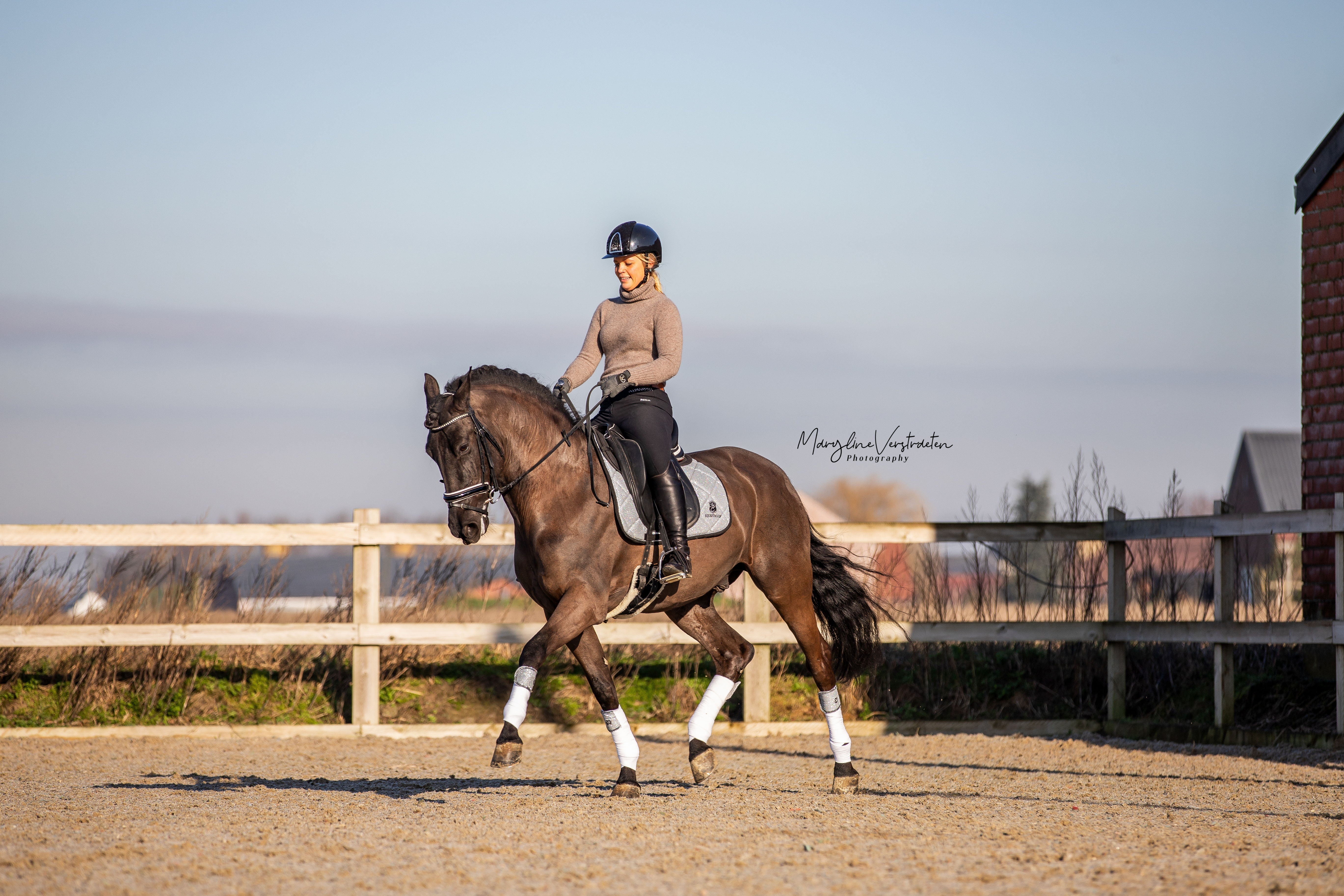 Royal Silver Saddle Pad Set - Equine Exchange Tack Shop