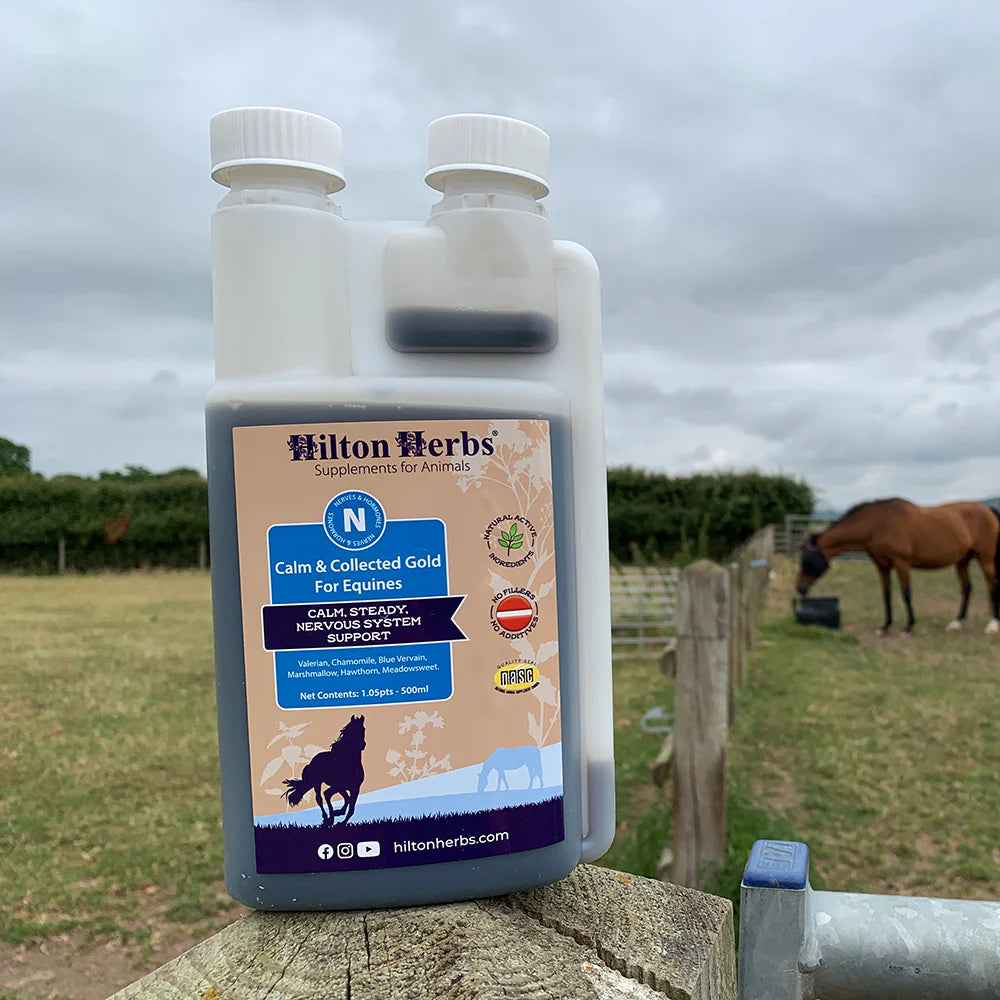 Calm & Collected Gold - Equine Exchange Tack Shop