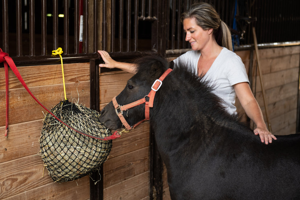 Xtra Small Hay Net - Equine Exchange Tack Shop