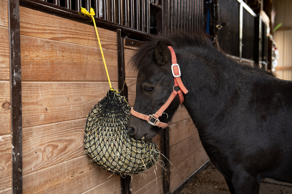 Xtra Small Hay Net - Equine Exchange Tack Shop