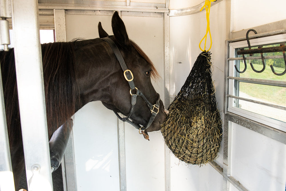 Small Hay Net - Equine Exchange Tack Shop