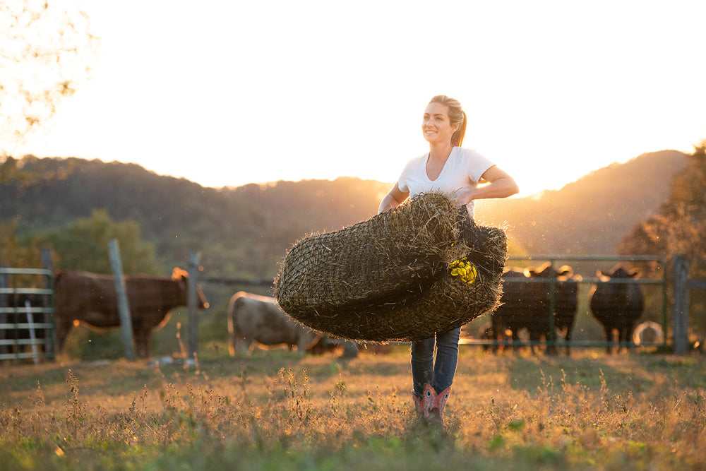 Square Bale Hay Net - Equine Exchange Tack Shop