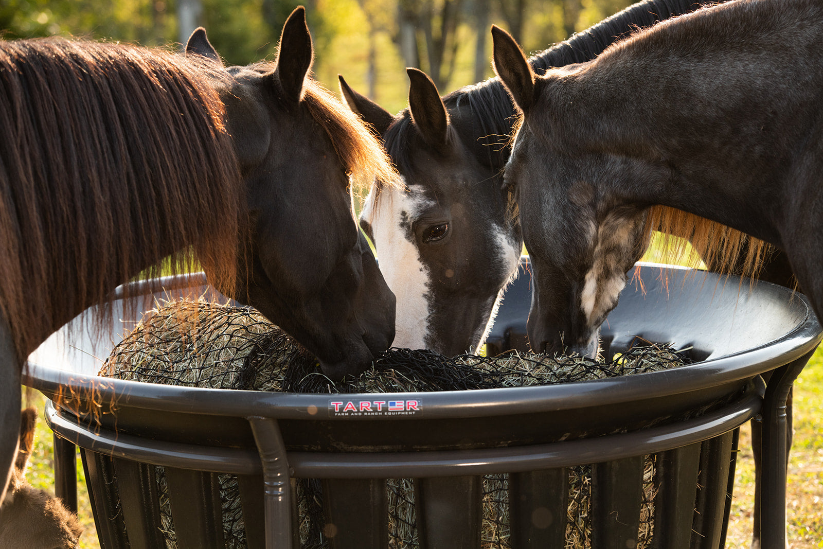 Hay Net for Tarter Equine Hay Basket (Basket Sold Separately) - Equine Exchange Tack Shop