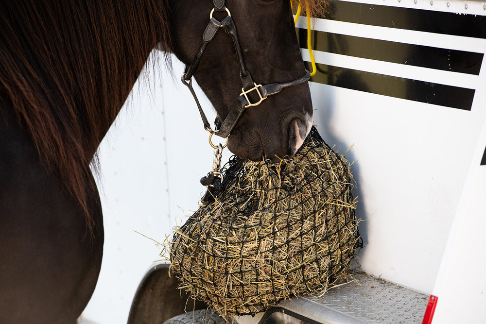 Small Hay Net - Equine Exchange Tack Shop