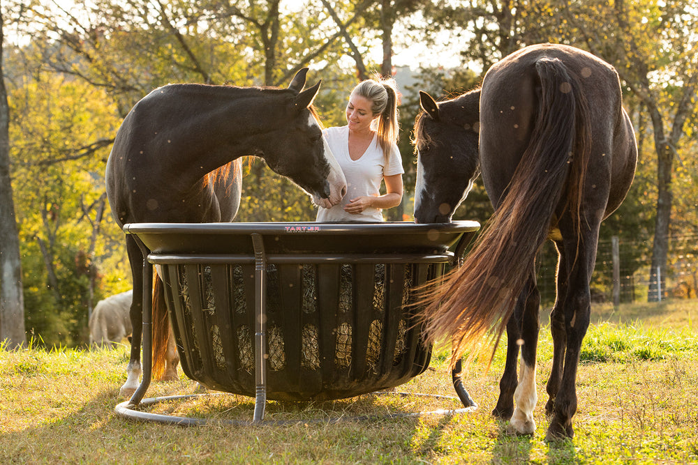 Hay Net for Tarter Equine Hay Basket (Basket Sold Separately) - Equine Exchange Tack Shop