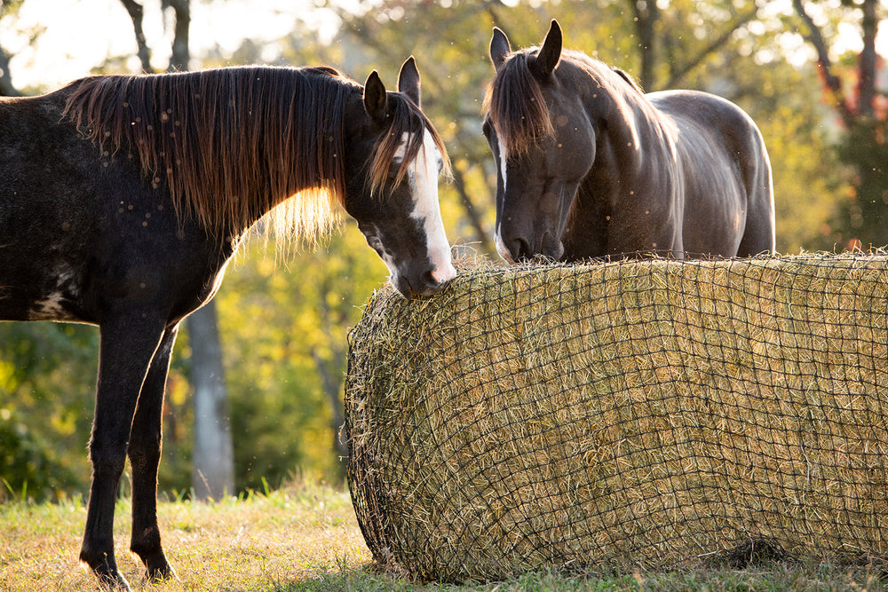 Large Square Bale Hay Net - Equine Exchange Tack Shop