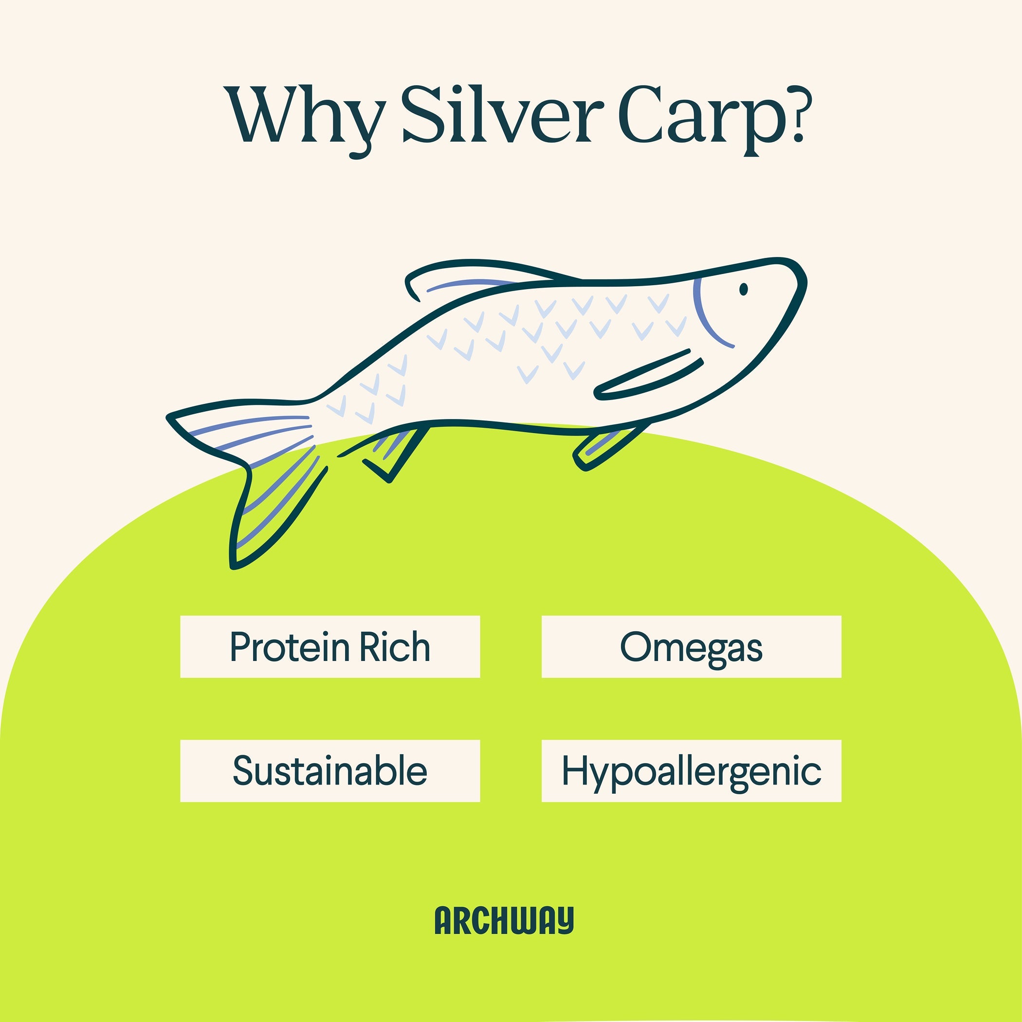 Silver Carp For Cats - Equine Exchange Tack Shop