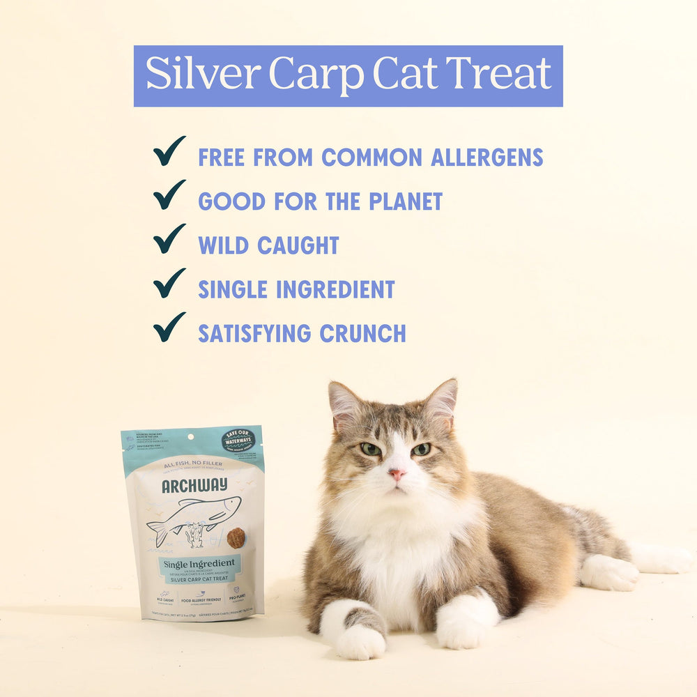 Silver Carp For Cats - Equine Exchange Tack Shop