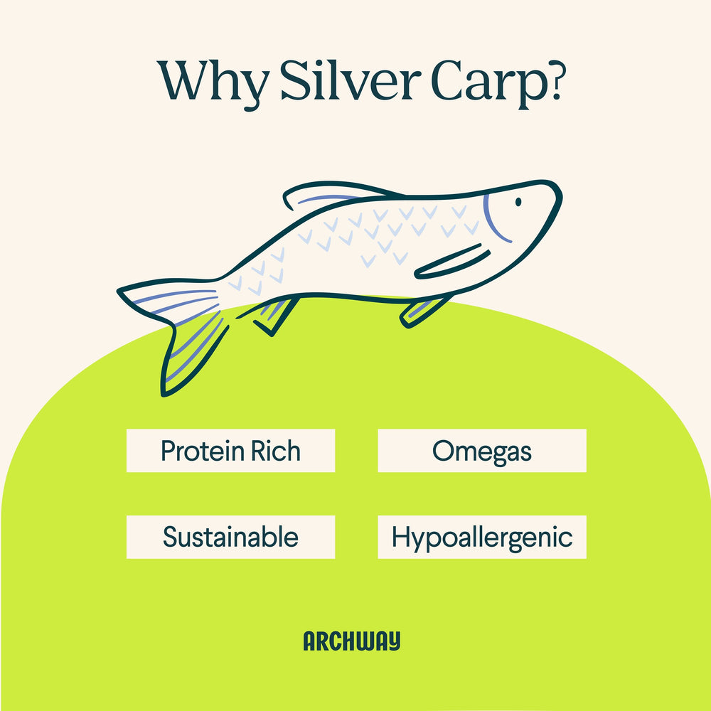 Silver Carp For Dogs  
