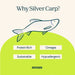 Silver Carp For Dogs  