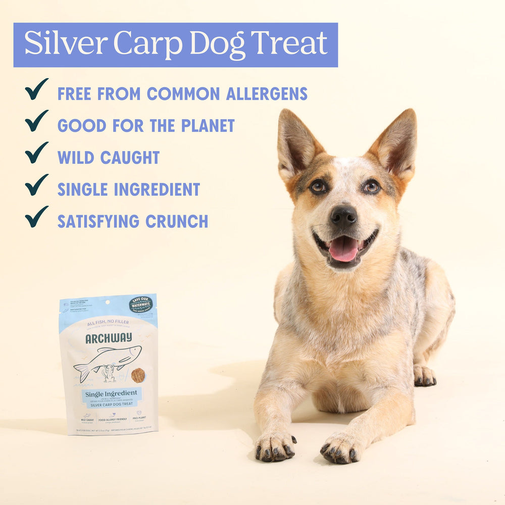 Silver Carp For Dogs - Equine Exchange Tack Shop