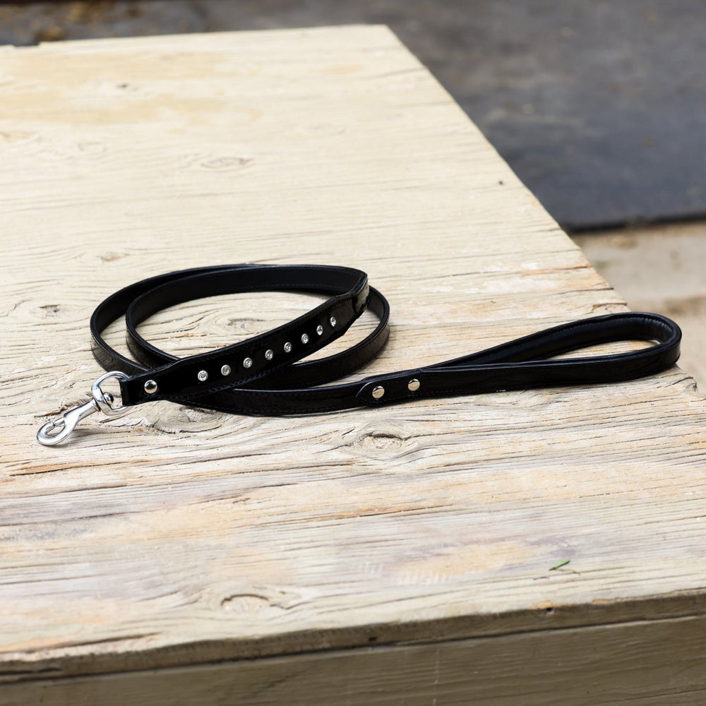 Halter Ego® Celebrity Black Patent Dog Leash - Equine Exchange Tack Shop