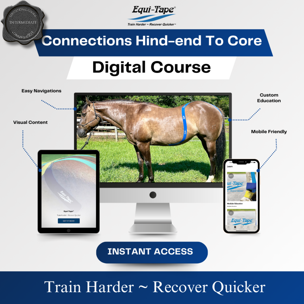 Module: Connections - Equine Exchange Tack Shop