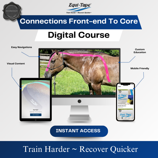 Module: Connections - Equine Exchange Tack Shop