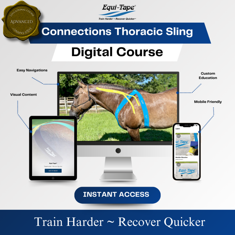 Module: Connections - Equine Exchange Tack Shop