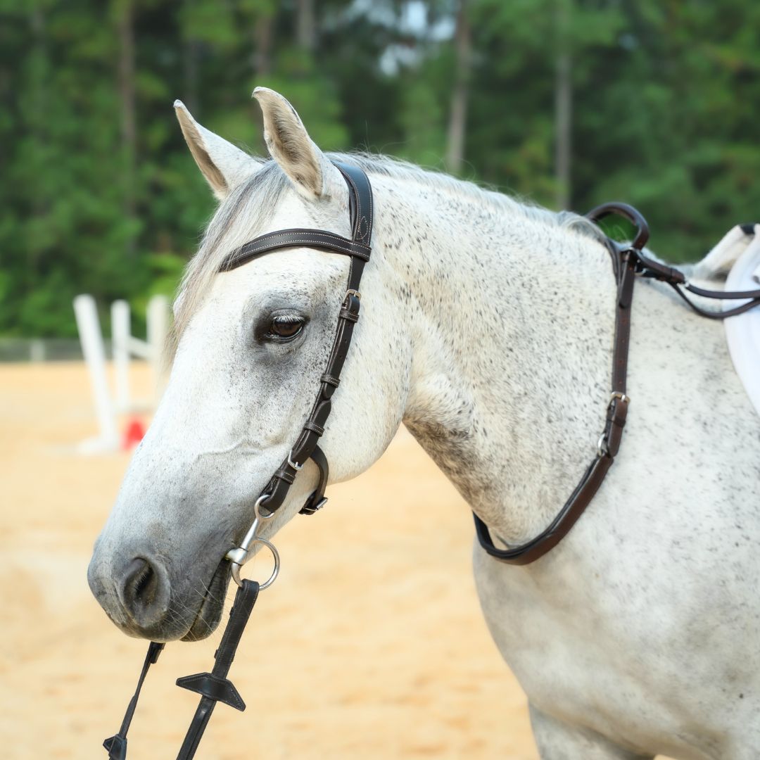 Double Neck Strap - Equine Exchange Tack Shop