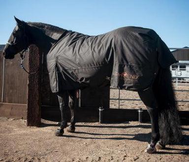 Phoenix Equine 1200D Turnout Blanket - Equine Exchange Tack Shop