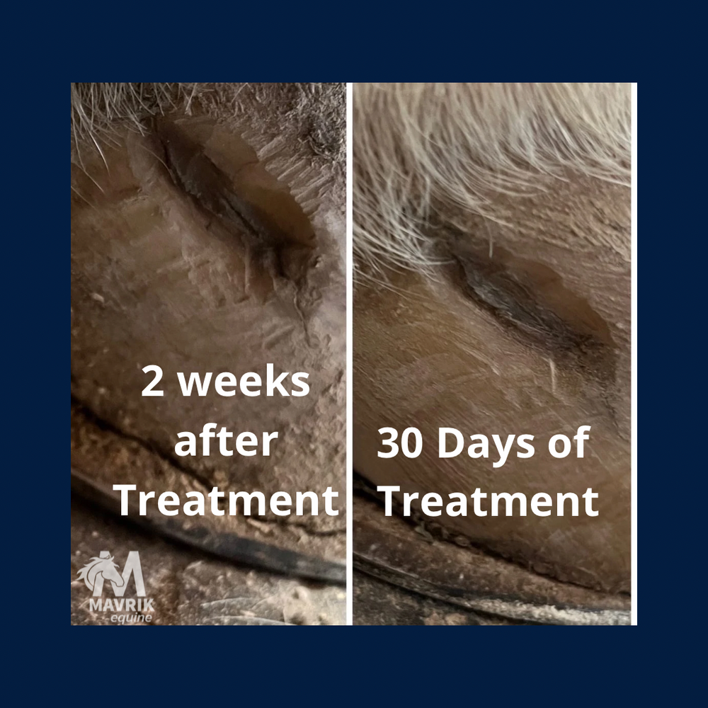 MAVRIK Hoof Oil - Equine Exchange Tack Shop