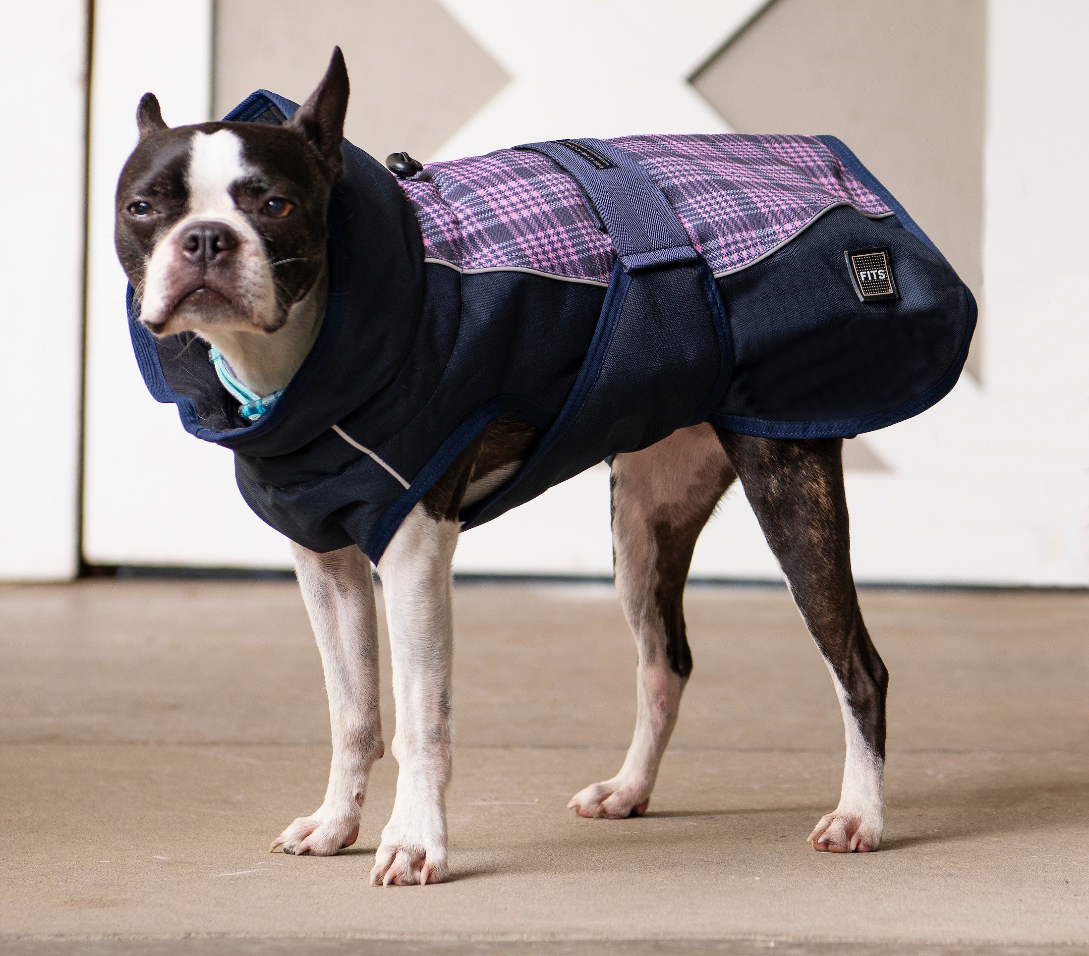 All Weather Dog Coat - Equine Exchange Tack Shop