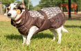 All Weather Dog Coat - Equine Exchange Tack Shop