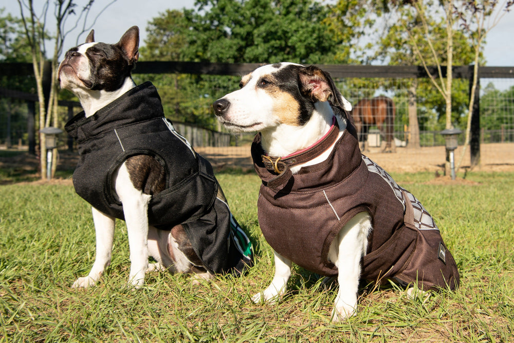 All Weather Dog Coat - Equine Exchange Tack Shop