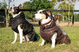 All Weather Dog Coat - Equine Exchange Tack Shop