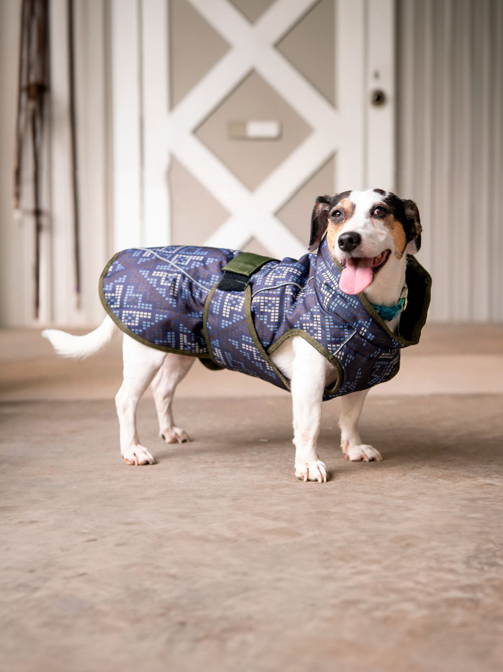 All Weather Dog Coat - Equine Exchange Tack Shop