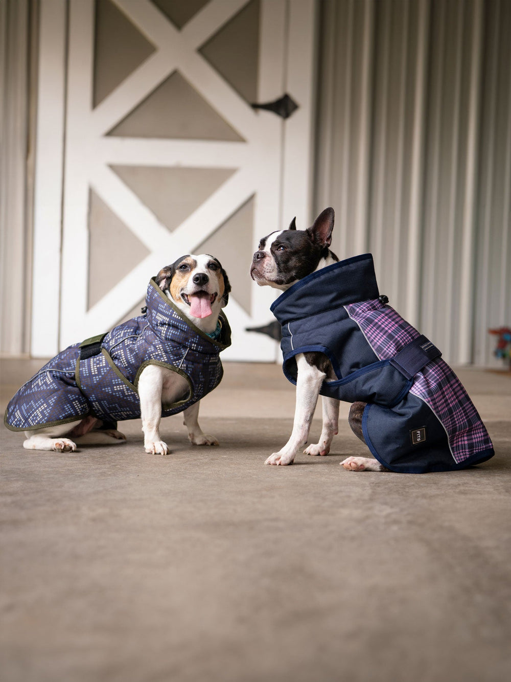 All Weather Dog Coat - Equine Exchange Tack Shop