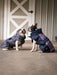 All Weather Dog Coat - Equine Exchange Tack Shop