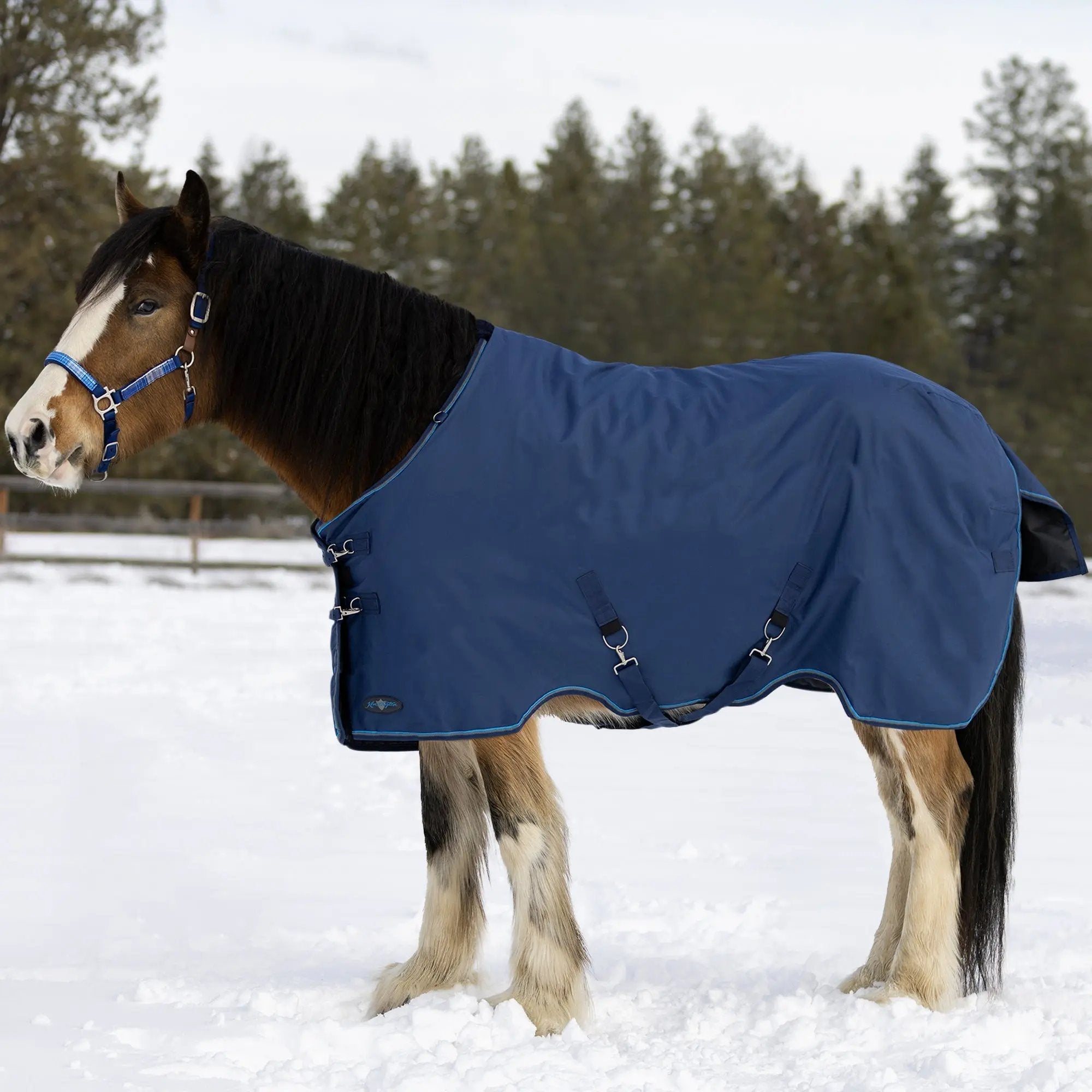 1200D 180G Medium Weight Waterproof & Breathable Draft Winter Turnout Blanket - Equine Exchange Tack Shop