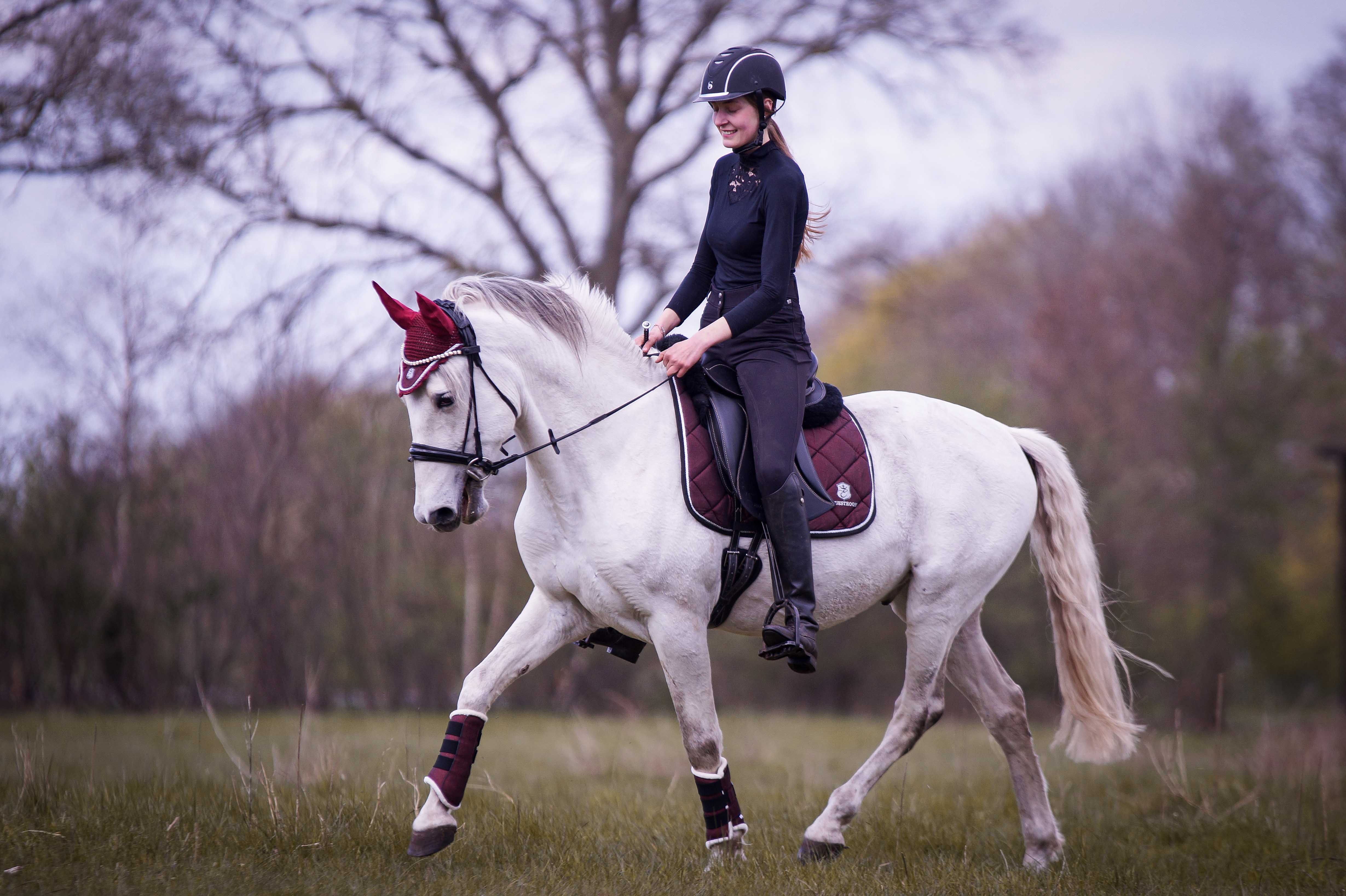Burgundy Brushing Boots - Equine Exchange Tack Shop