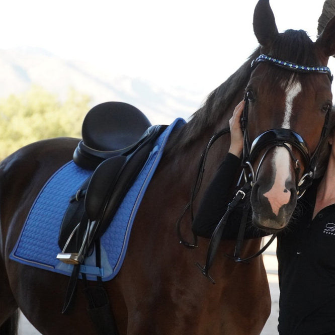 European Cotton Dressage Saddle Pad - Sky Blue - Equine Exchange Tack Shop