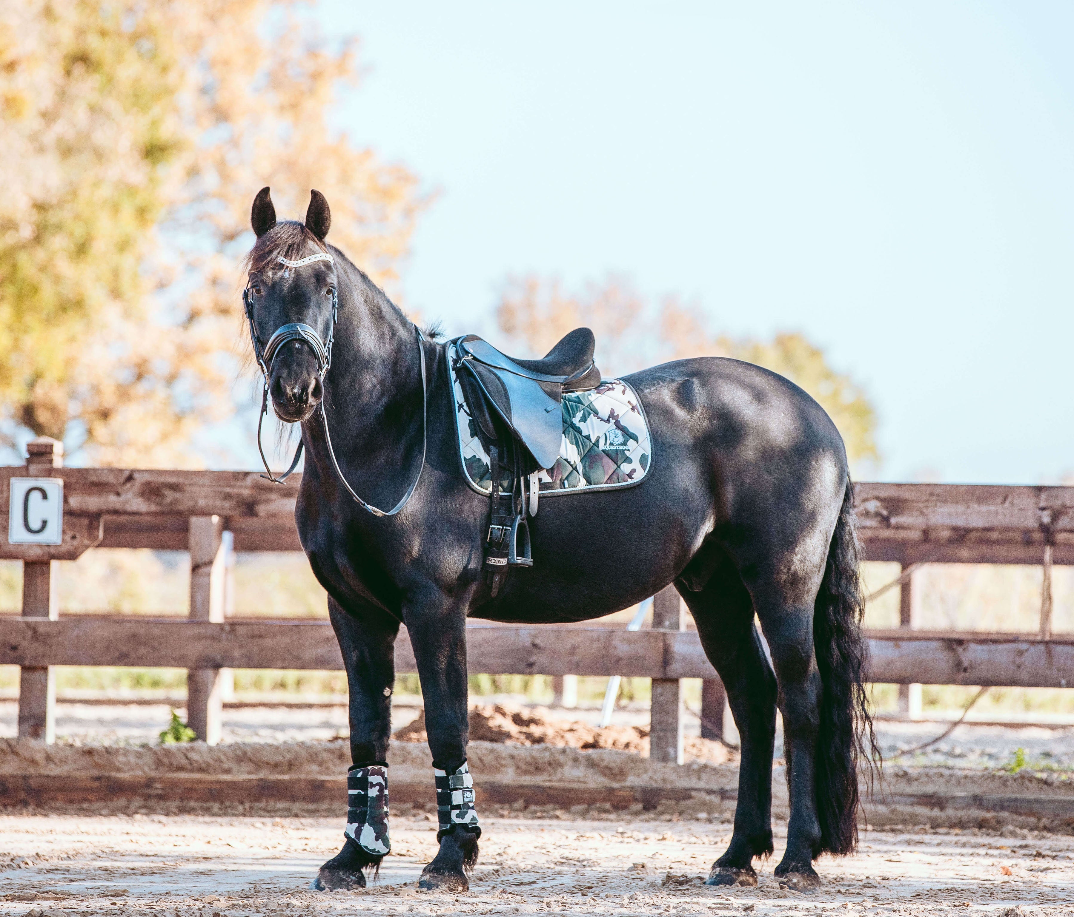 Camouflage Brushing Boots - Equine Exchange Tack Shop