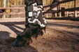 Camouflage Brushing Boots - Equine Exchange Tack Shop
