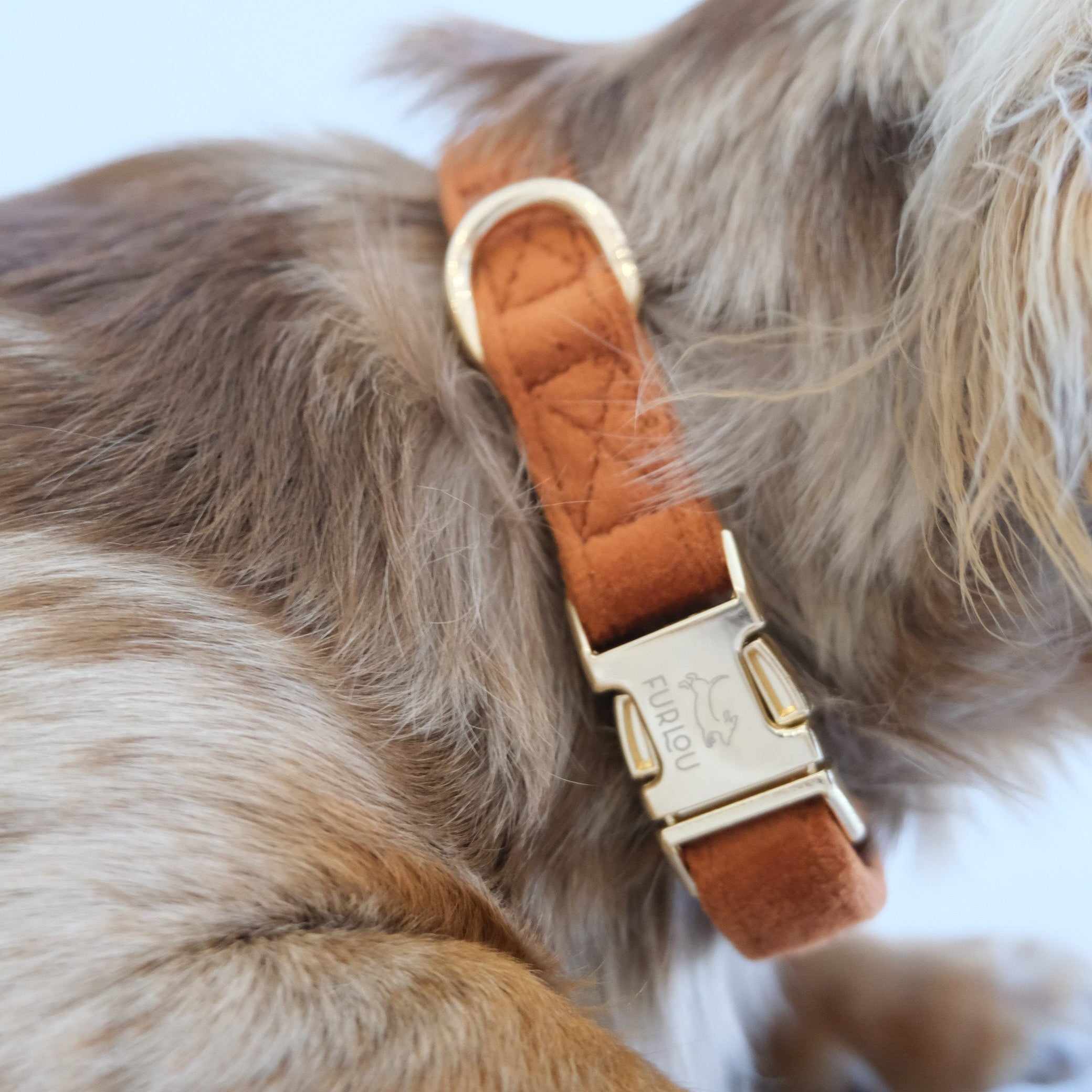 Velvet Dog Collar - Clay