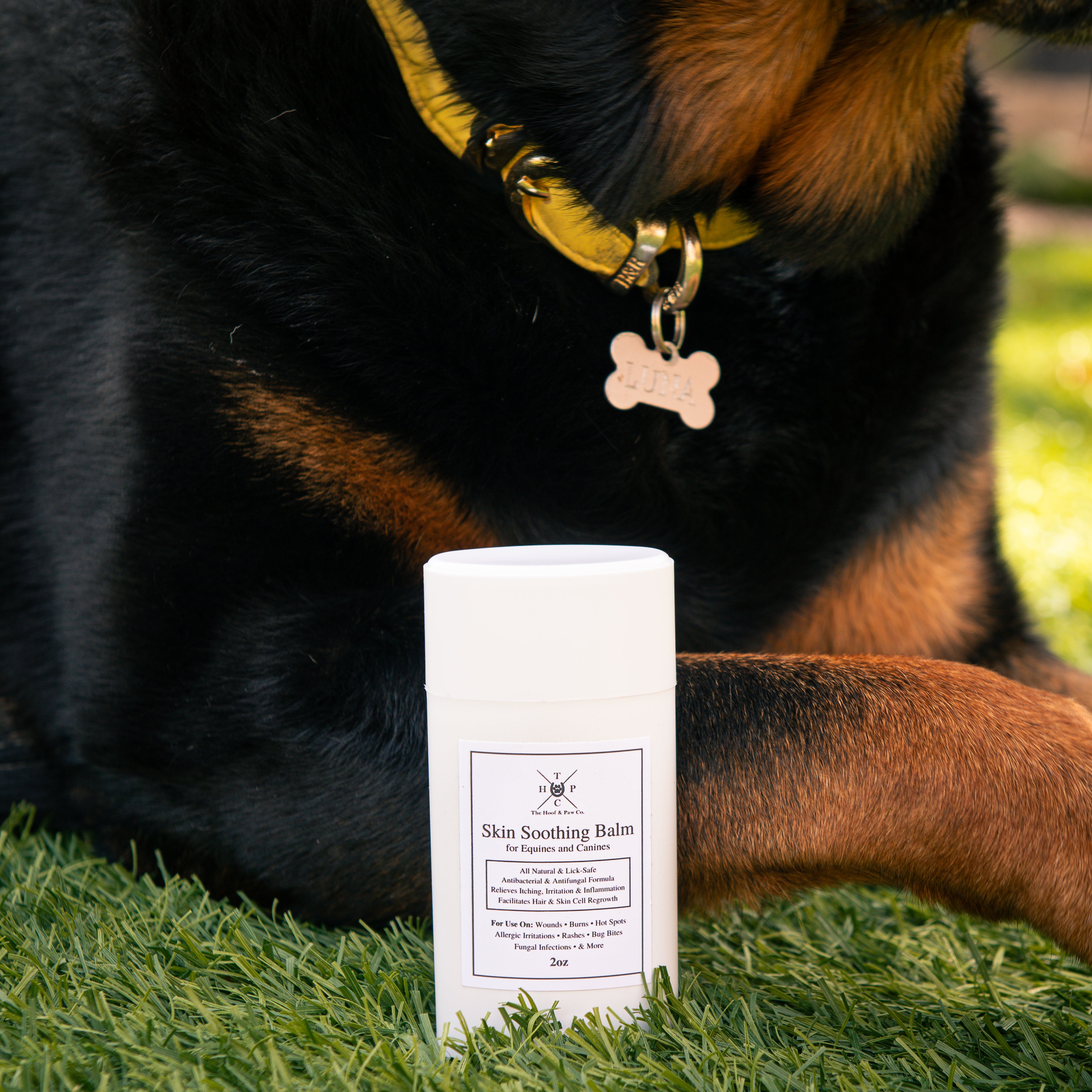 All Natural Skin Soothing Balm - For Dogs & Horses - 2oz