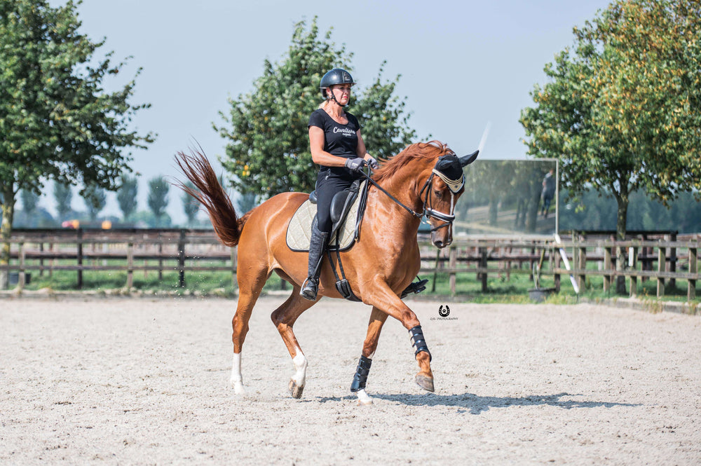 Champagne Saddle Pad Set - Equine Exchange Tack Shop
