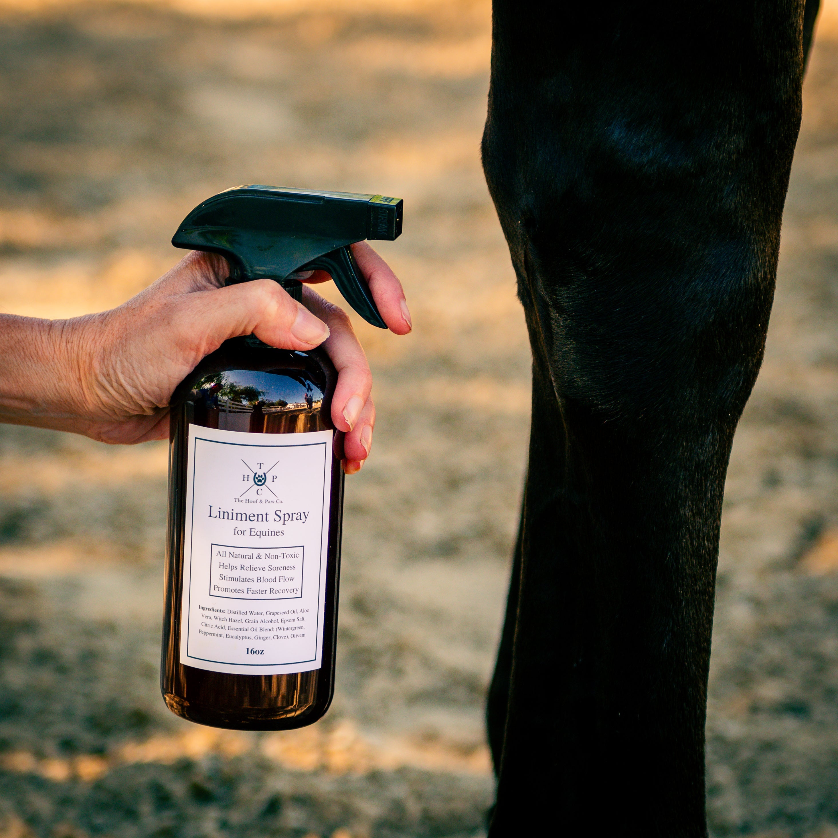 All Natural Liniment Spray - For Horses - 16oz - Equine Exchange Tack Shop