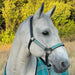 Premium Nylon Halter  