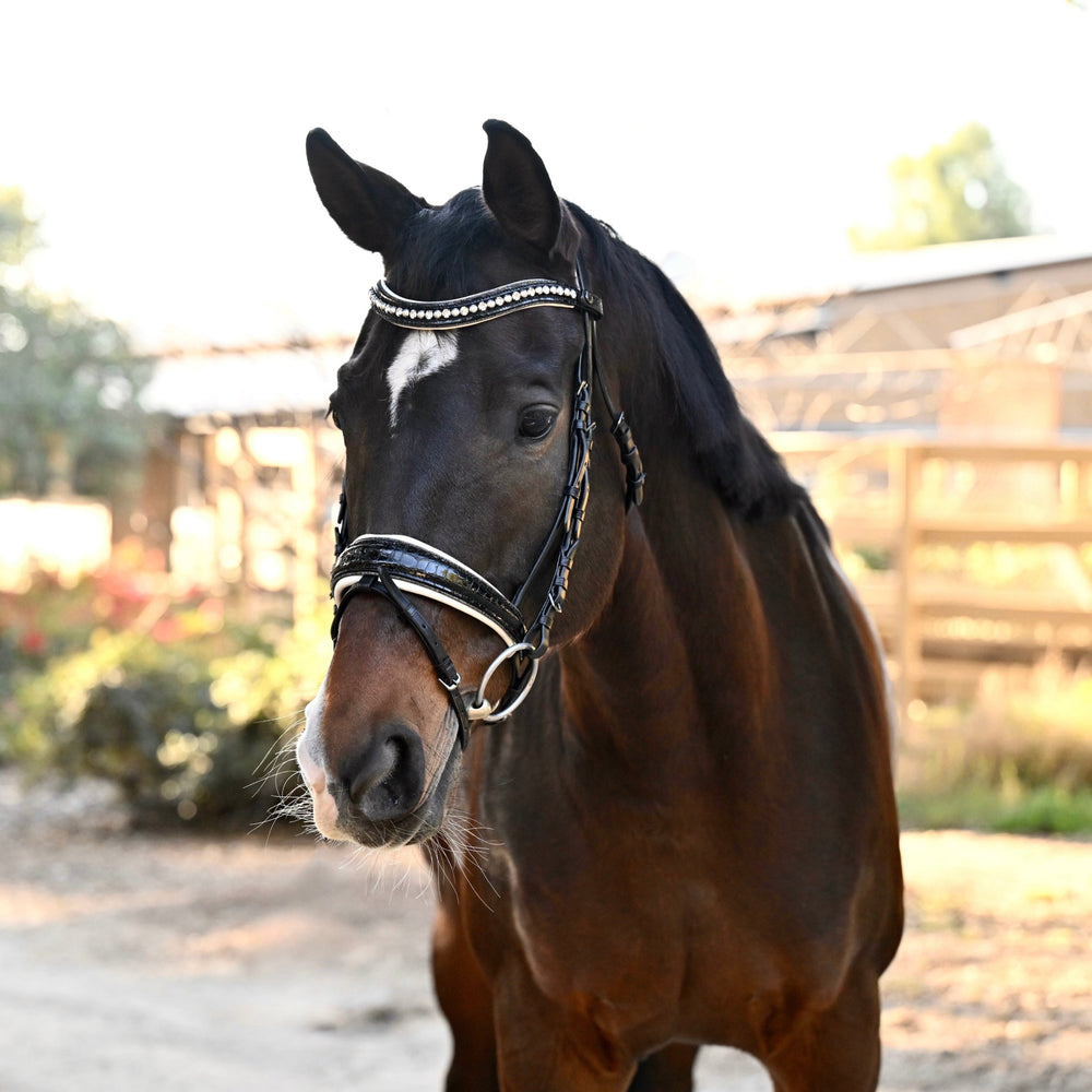 The Harlow Black Patent Snaffle Bridle with Removable Flash - Equine Exchange Tack Shop