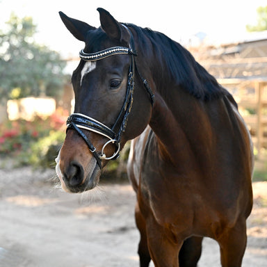 The Harlow Black Patent Snaffle Bridle with Removable Flash - Equine Exchange Tack Shop