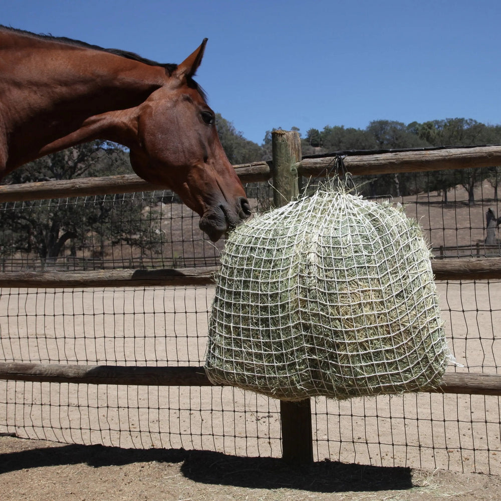 Freedom Feeder Day Net - 4 Flake Capacity - 3 Size Slow Feed Mesh Options - Equine Exchange Tack Shop