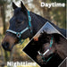 Premium Nylon Halter  