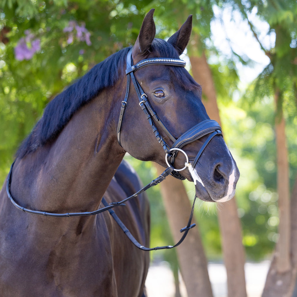 Doc Marten Black Leather Snaffle Bridle w/Removable Flash - Equine Exchange Tack Shop
