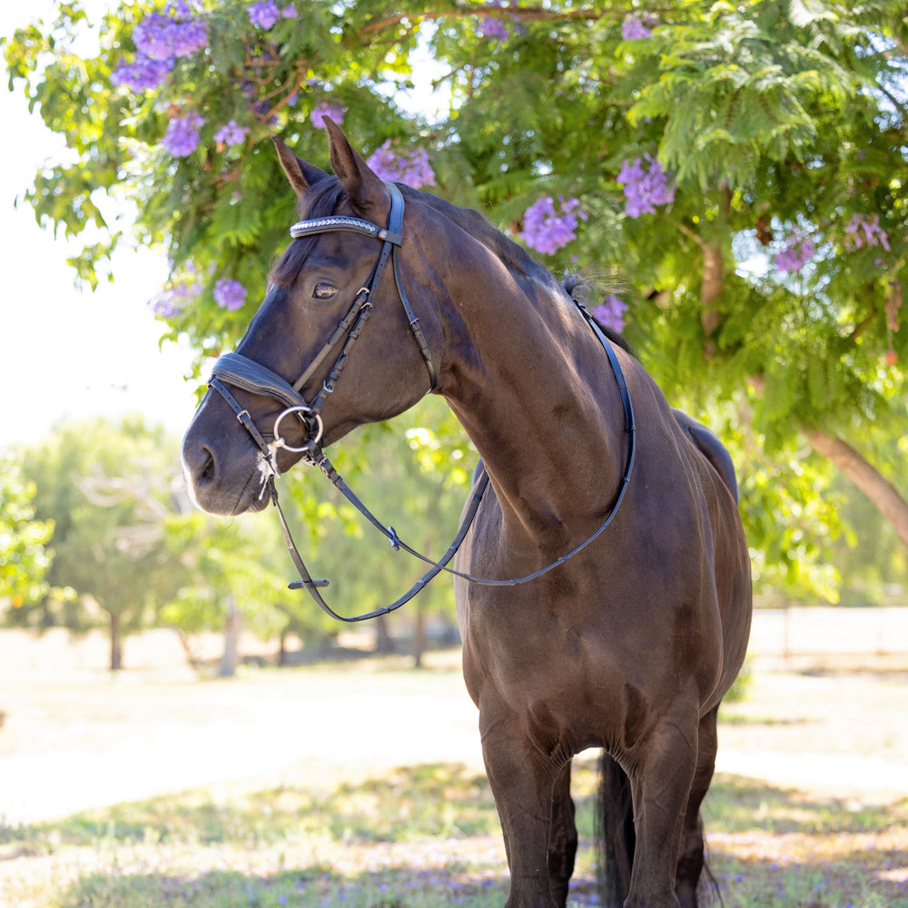 Doc Marten Black Leather Snaffle Bridle w/Removable Flash - Equine Exchange Tack Shop