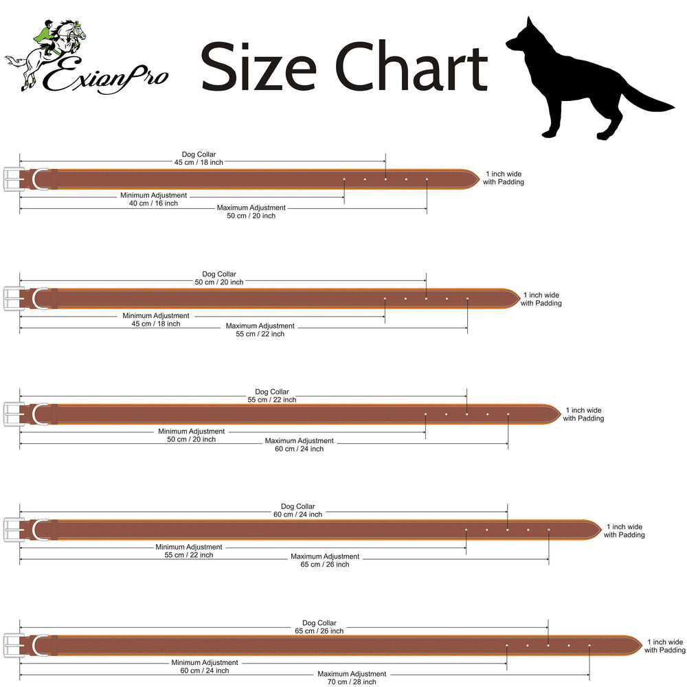 ExionPro Red Bling Padded Dog Collar With Dog Leash - Equine Exchange Tack Shop