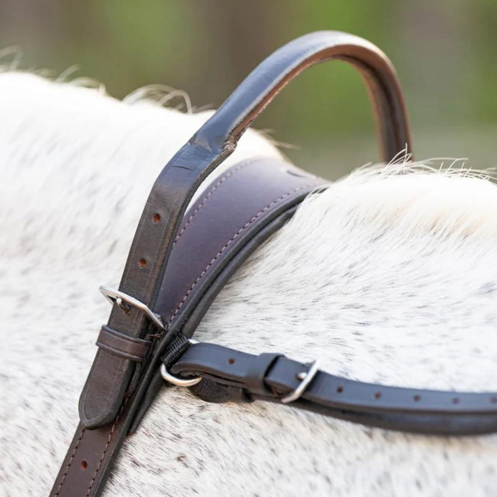 Double Neck Strap - Equine Exchange Tack Shop