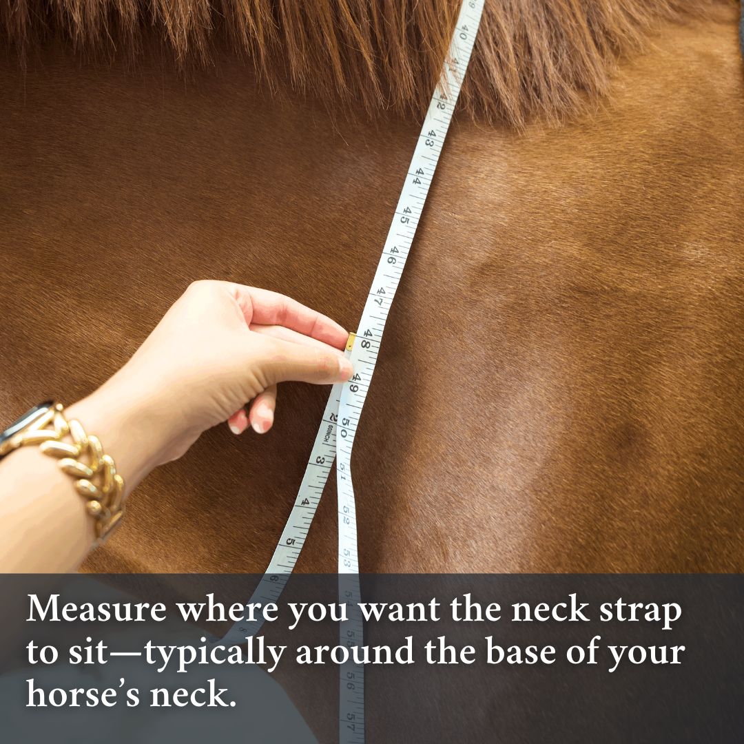 Double Neck Strap - Equine Exchange Tack Shop
