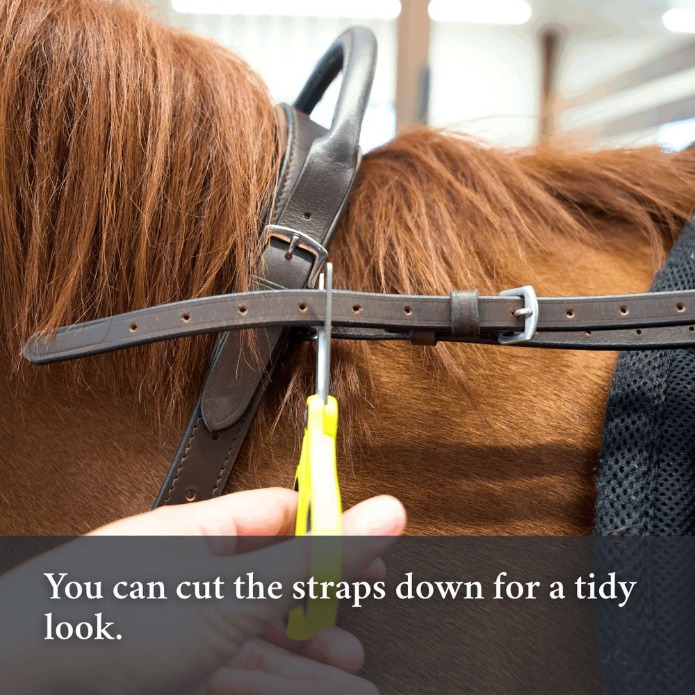Double Neck Strap - Equine Exchange Tack Shop