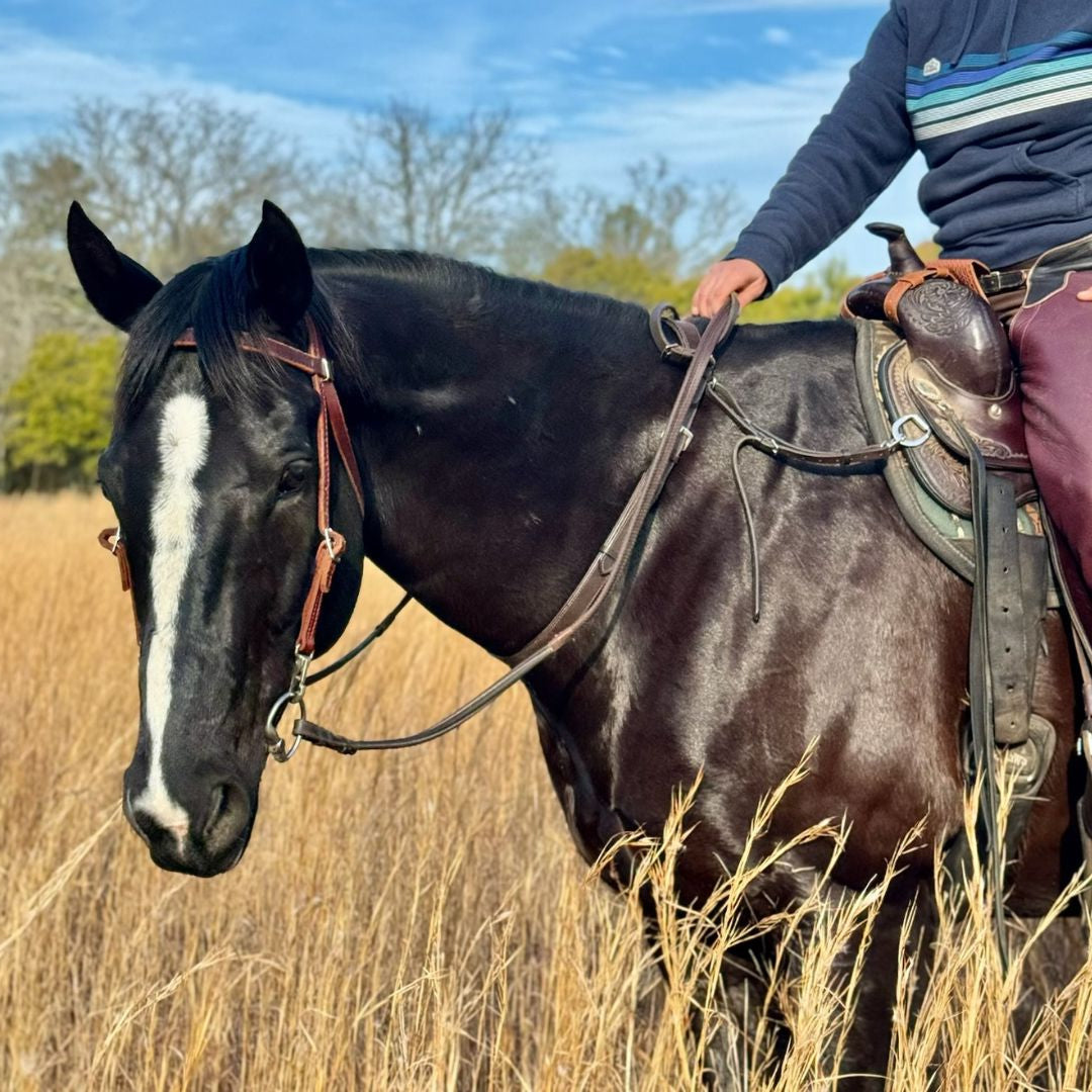 Double Neck Strap - Equine Exchange Tack Shop